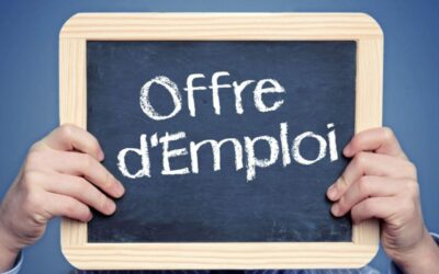 Offre d’emploi  Remplacement chargée de plaidoyer