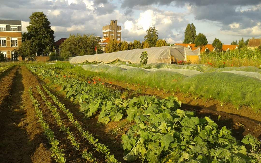 La Coopérative du chant des Cailles